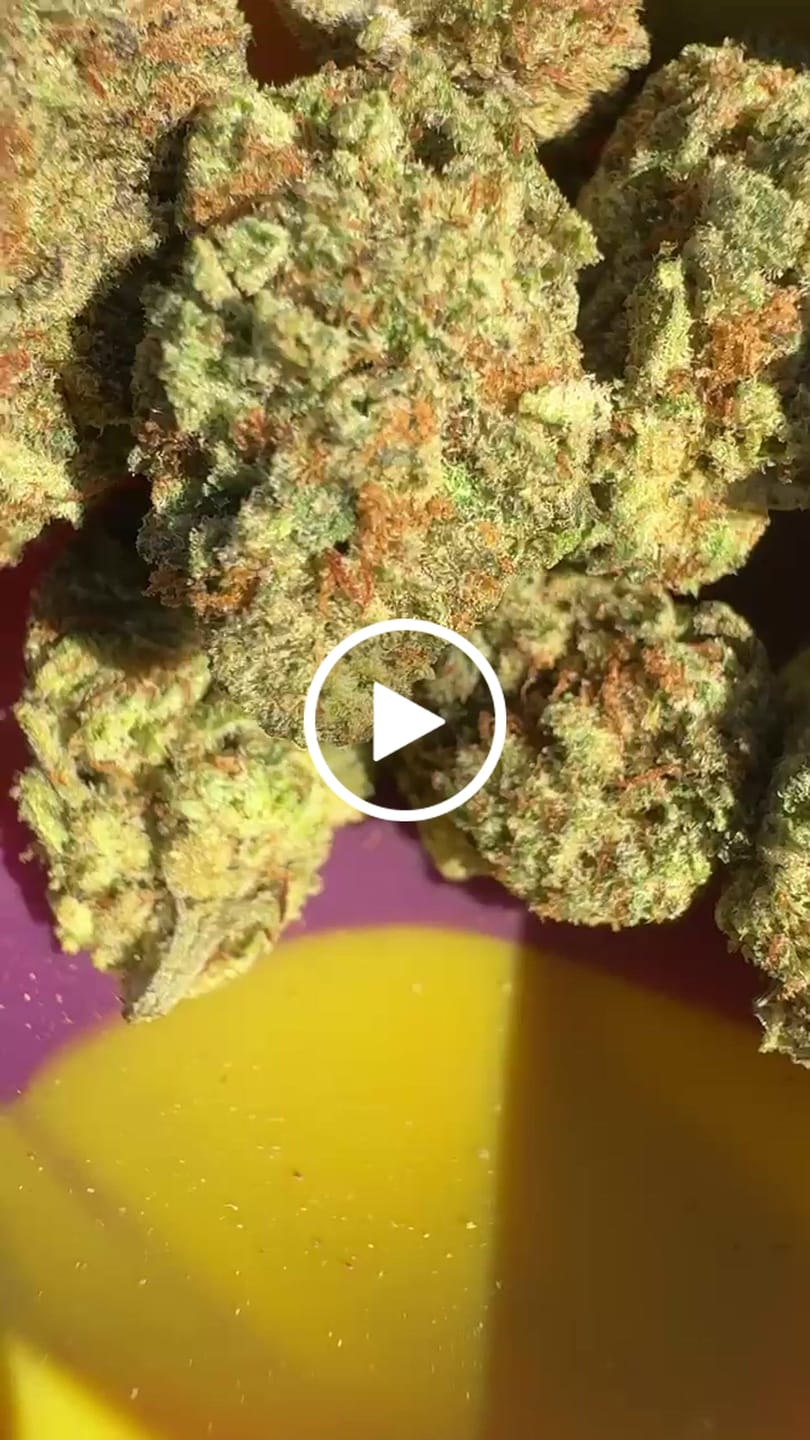 Customer video review of GODFATHER X 40%