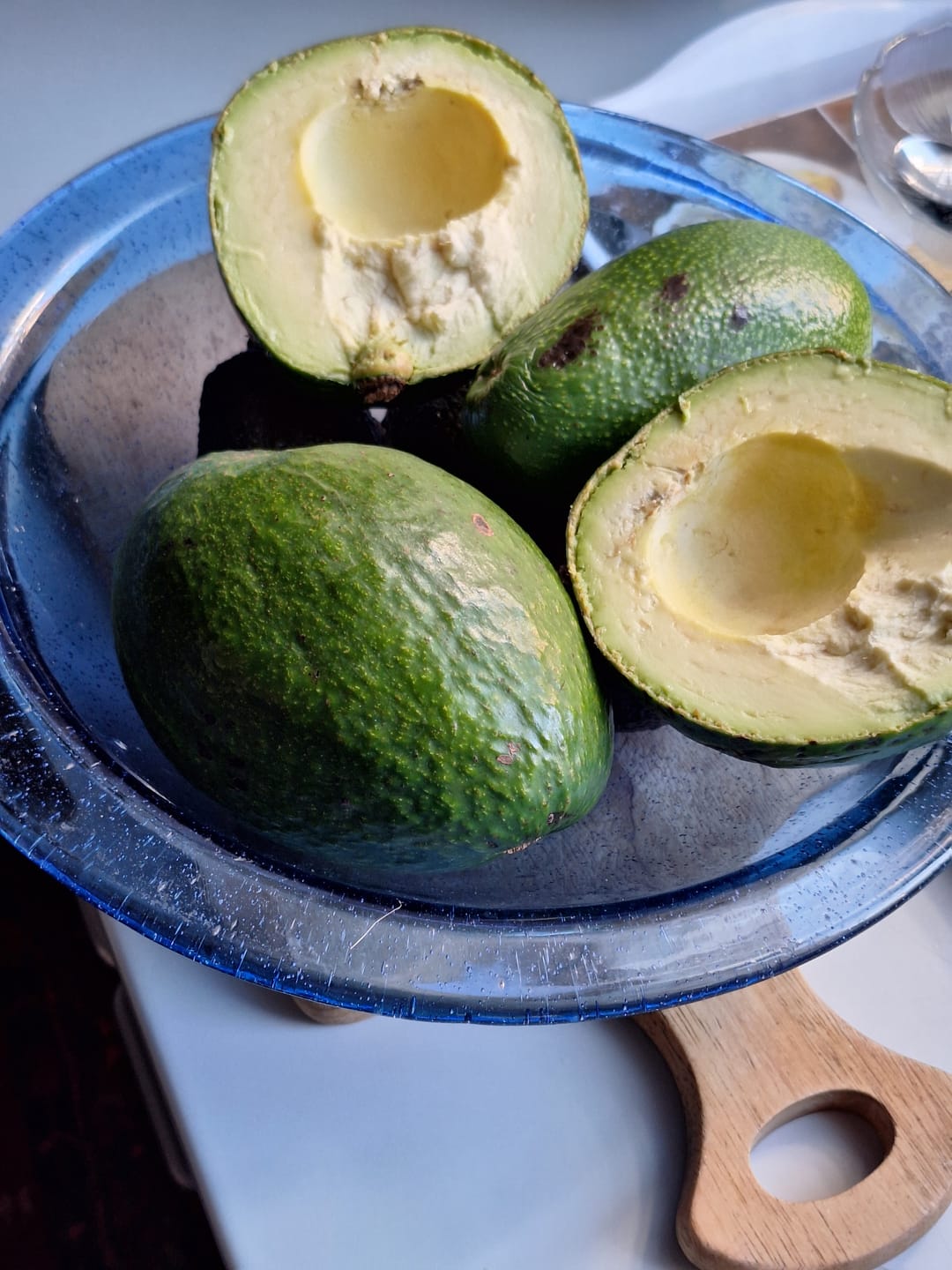 Customer photo review of Avocado Entdeckerbox Aktionspreis %