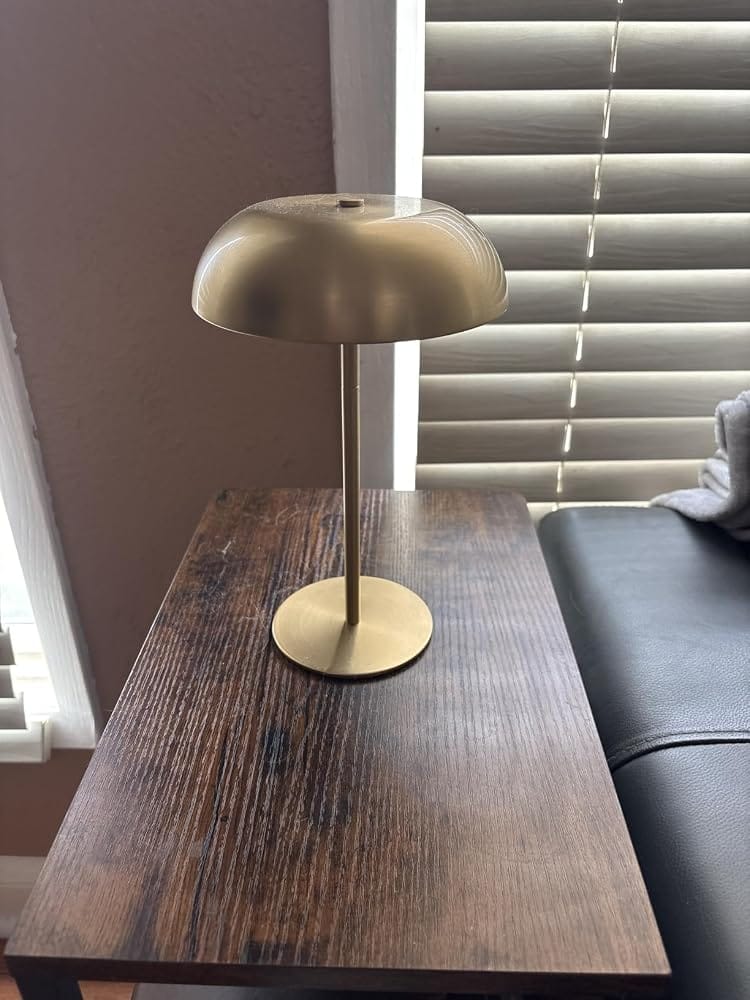 Customer photo review of Cordless Mushroom Lamp