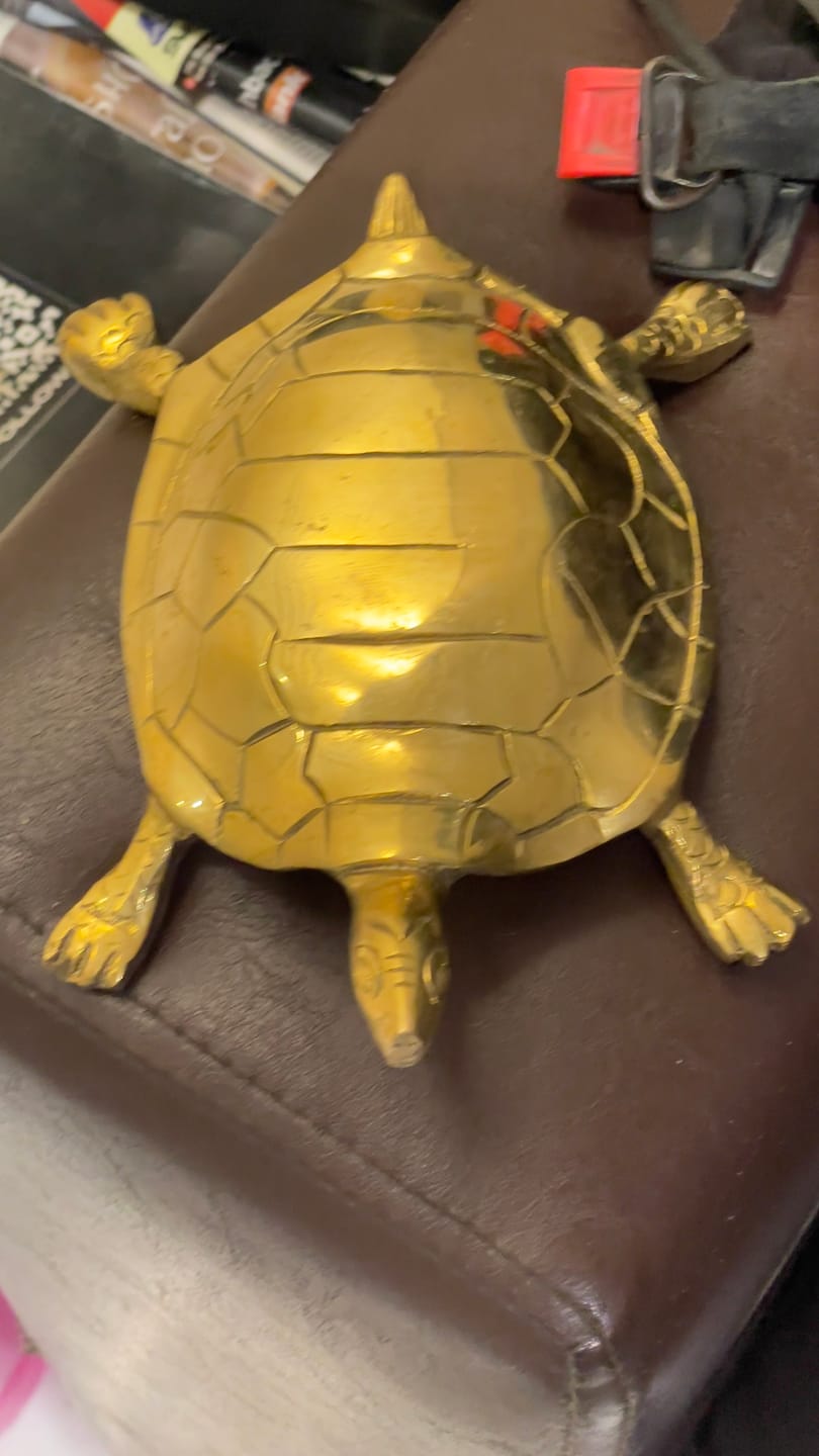 Customer photo review of Pure Brass Tortoise Idol Vastu Remedy for Stability, Protection and Positive Energy | 22 x 12 cm | 1.05kg
