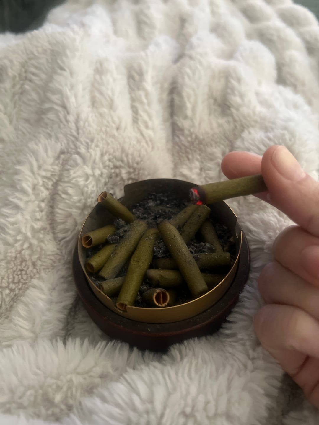 Customer photo review of Jungle Gelato - 28 Grams - Indica