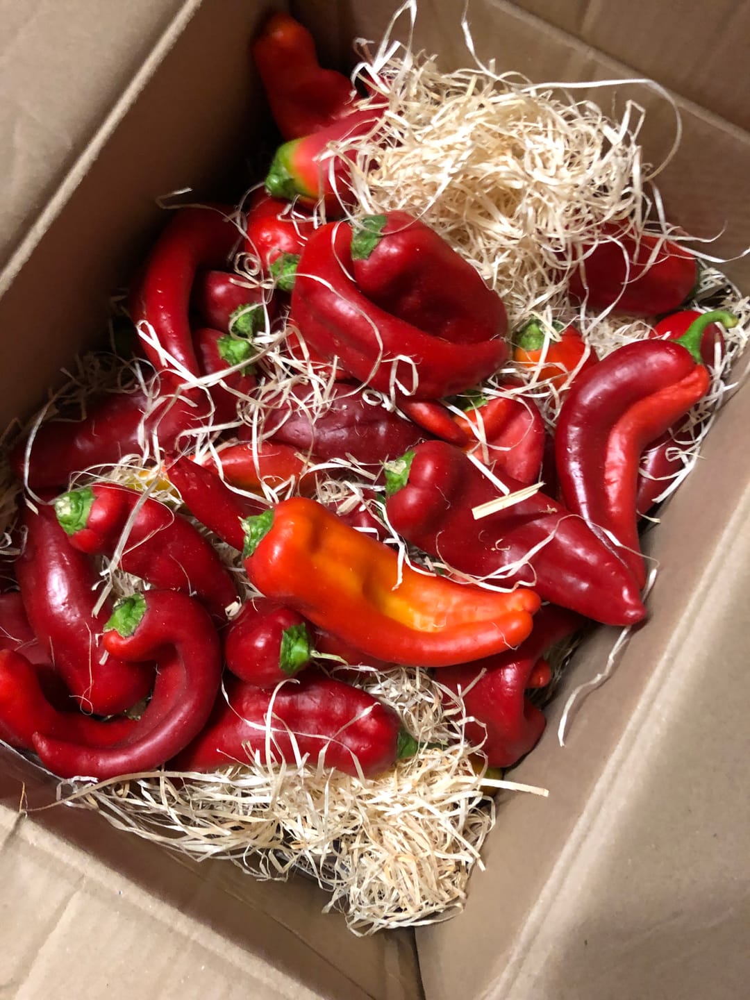Customer photo review of Paprika spitz Bio
