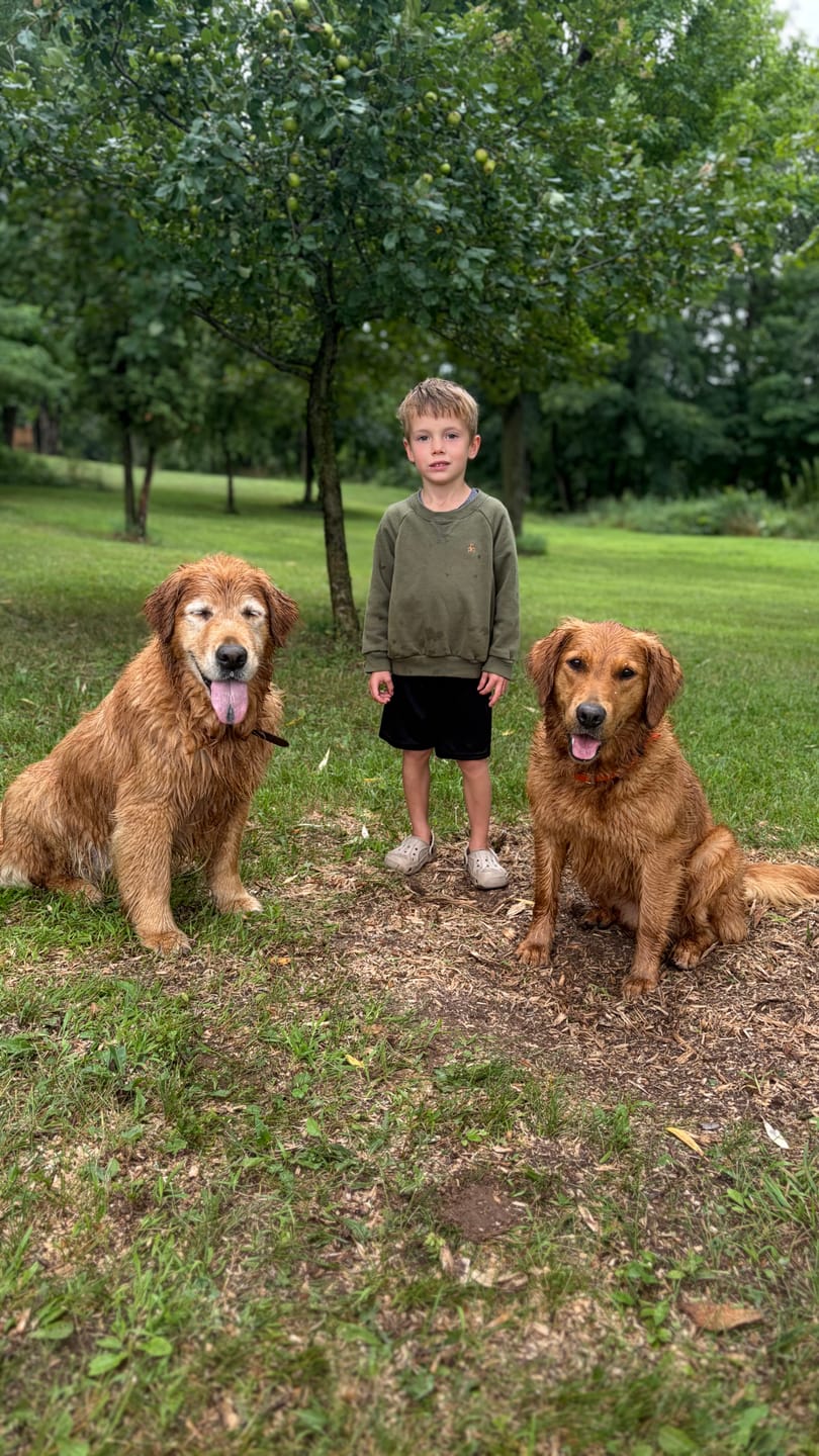 Customer photo review of Canine NutriGreens