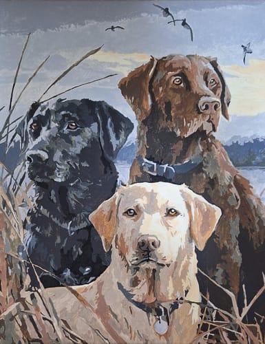 Customer photo review of Trio de Labrador