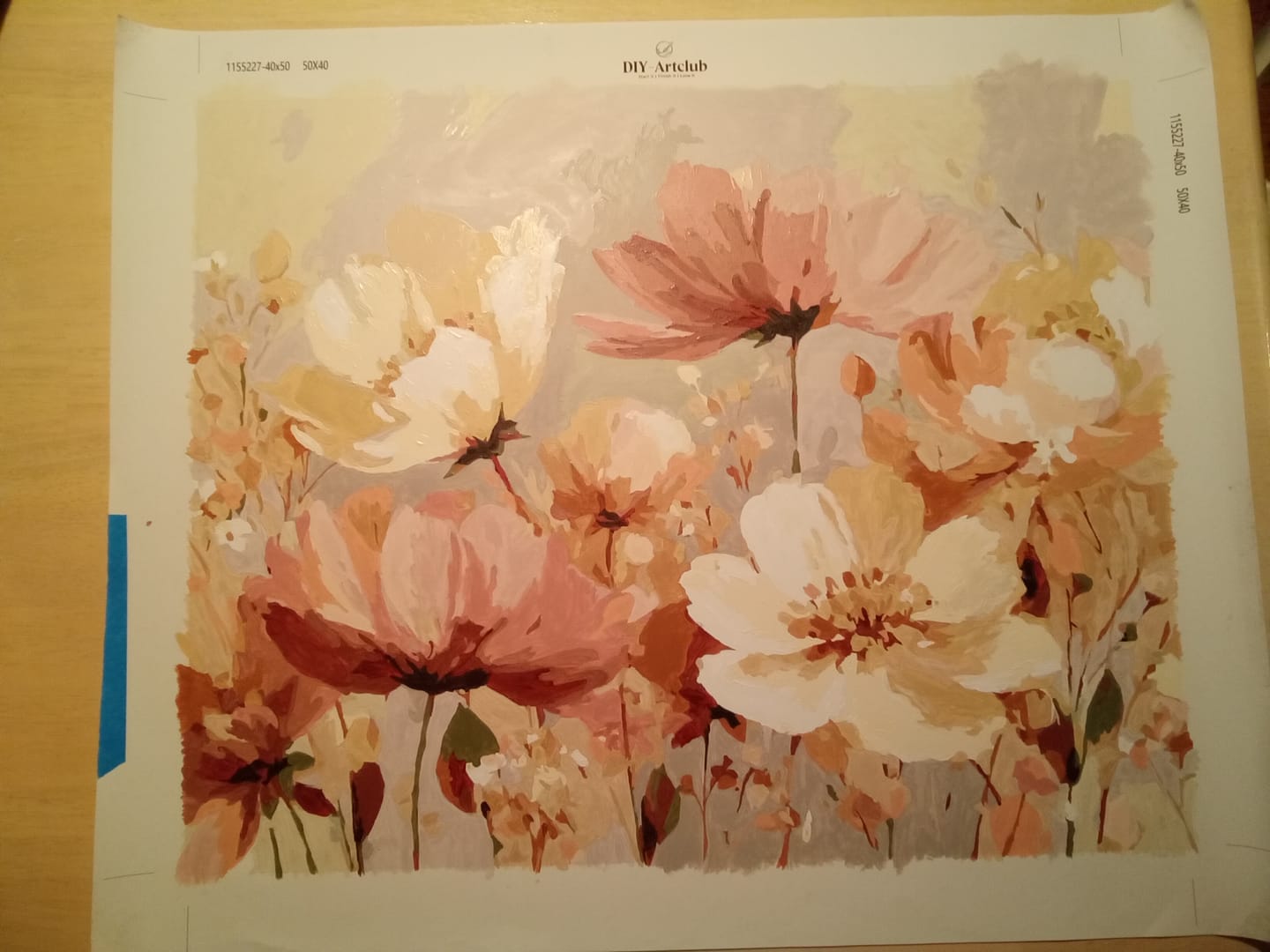 Customer photo review of Fields of Grace | Paint by Number