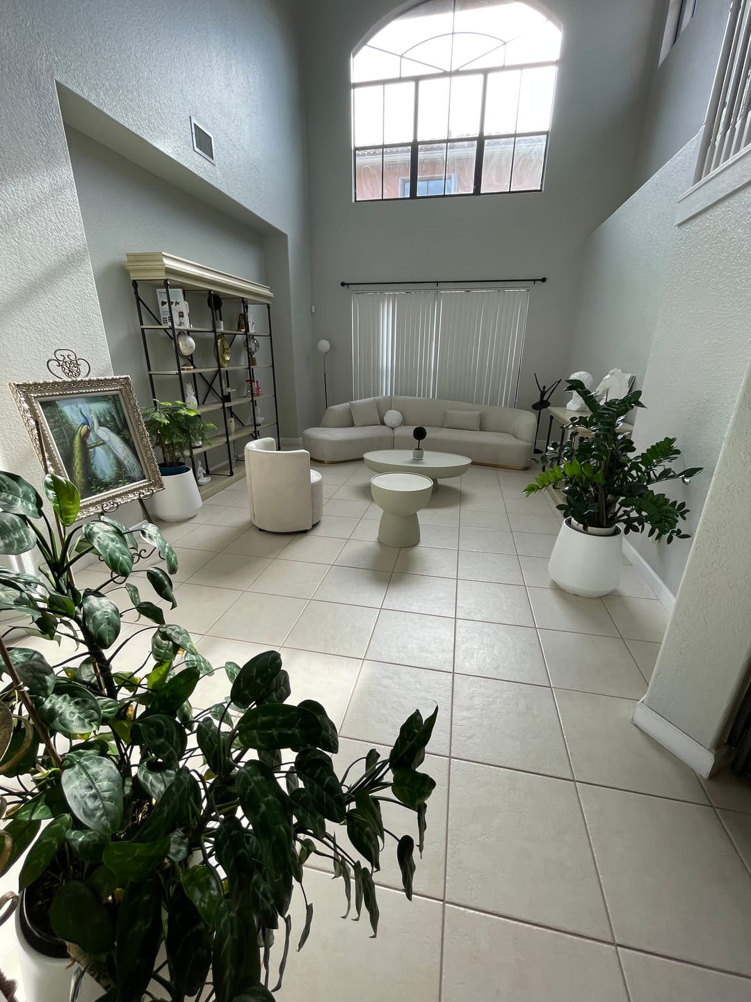 Customer photo review of Reya Form Curved Modular Sectional