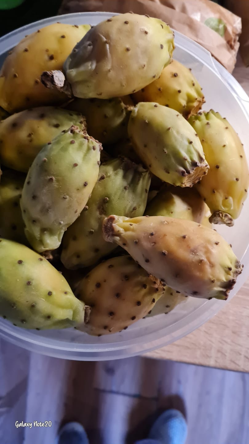 Customer photo review of Kaktusfeigen naturbelassen von Julian