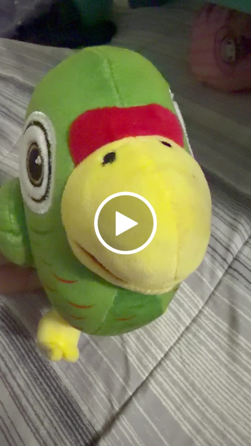 Customer video review of Bori La Cotorra | Peluche con Sonido