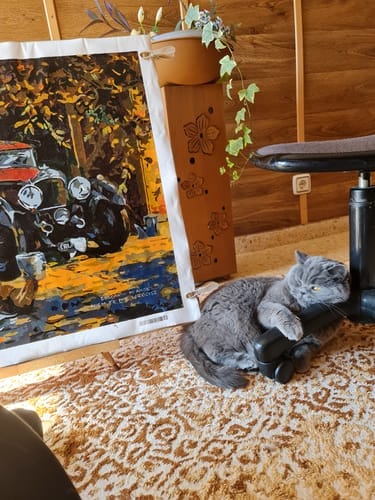 Customer photo review of Homme se reposant près de sa Voiture