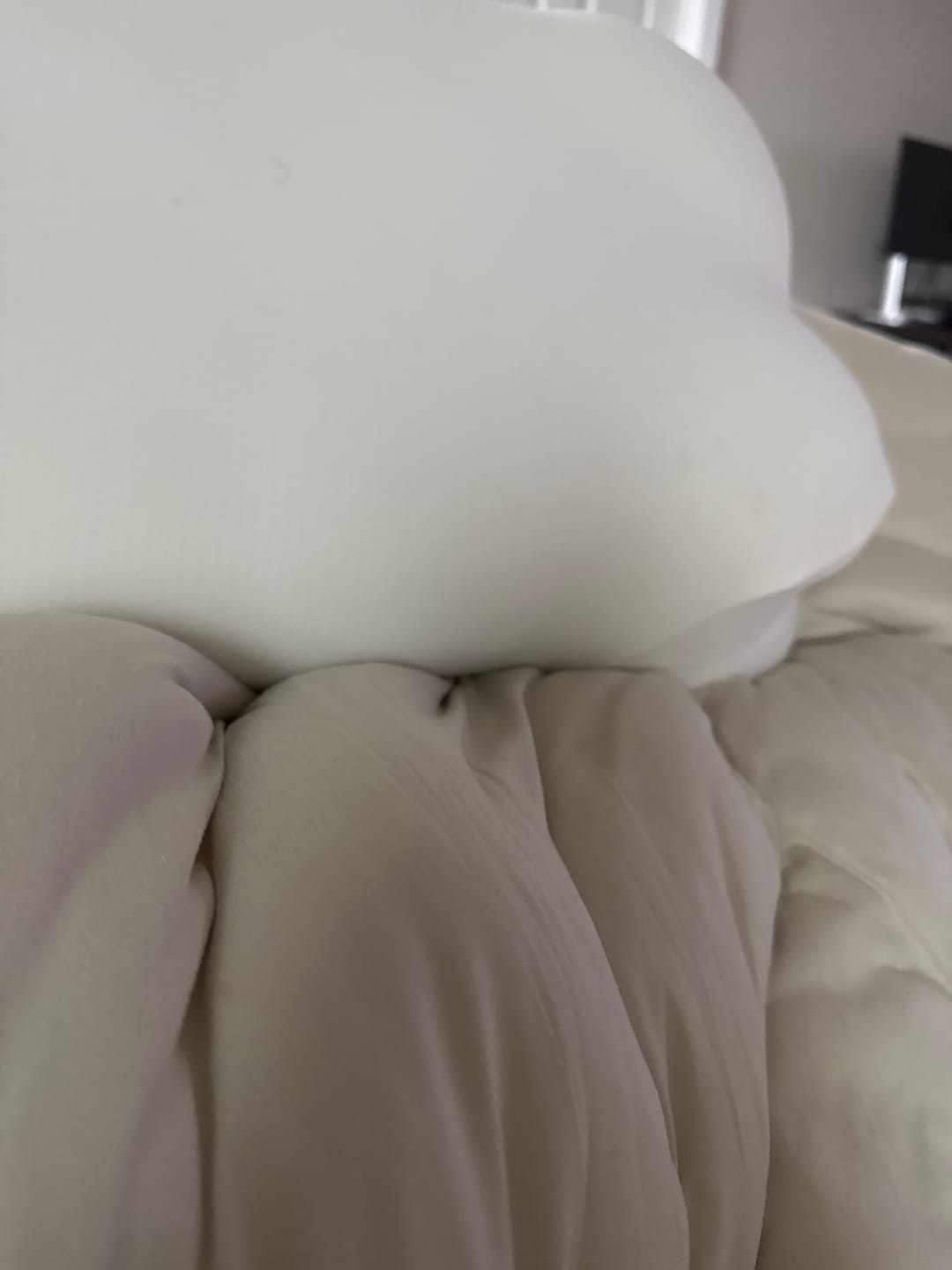 Customer photo review of MarshMellow Comforter