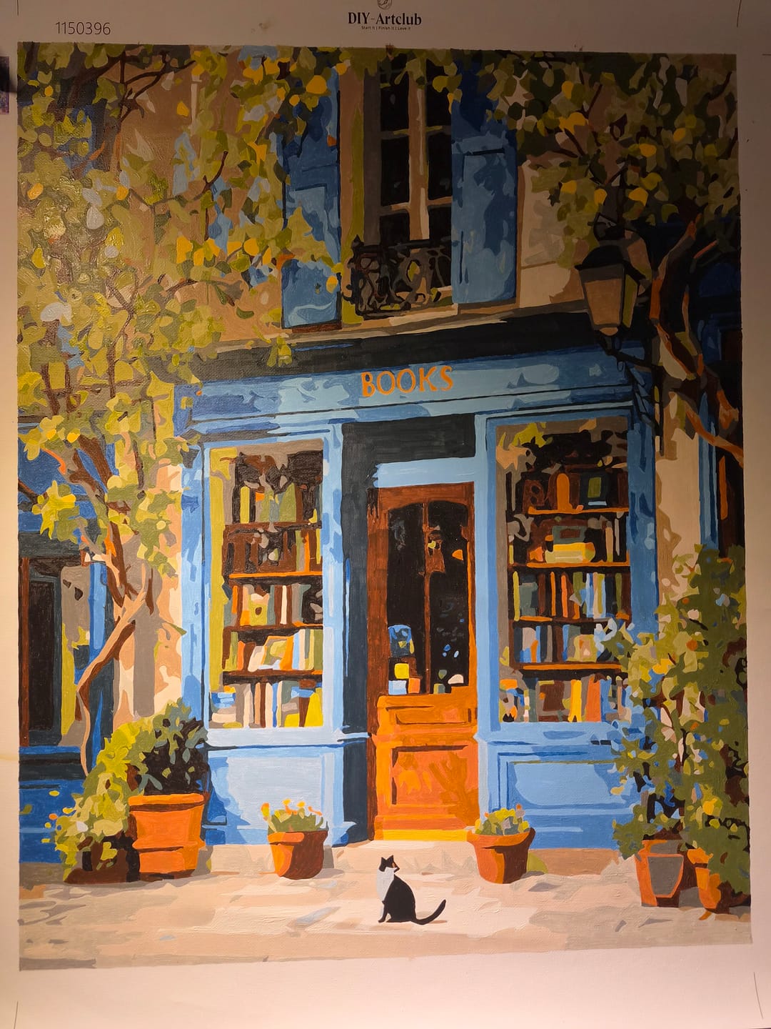 Customer photo review of Where books live | Paint by Number
