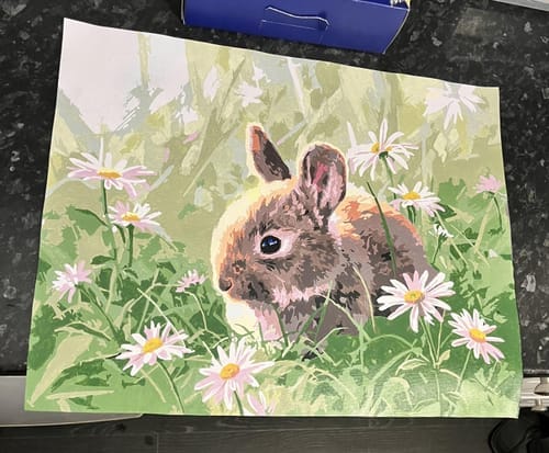 Customer photo review of Lapin et marguerites