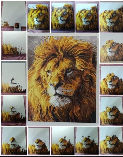 Customer photo review of Le Lion