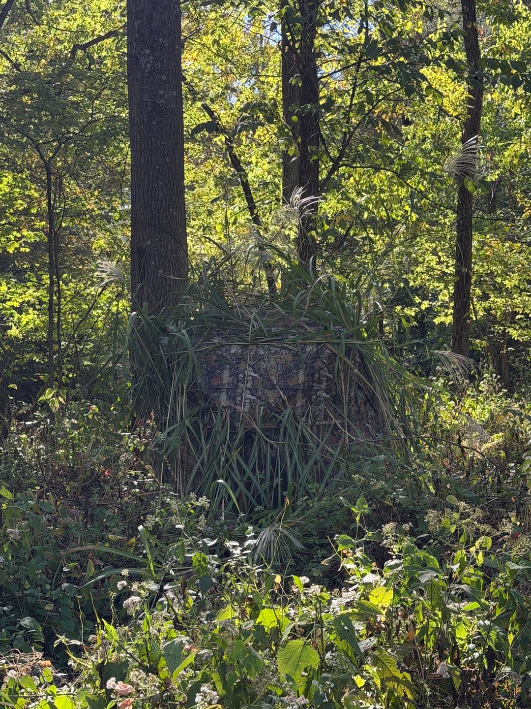 Customer photo review of VisST 270° See Through Ground Blinds | Pop Up Portable Blinds for 2 3 Person Deer Hunting with Silent Magnetic Door