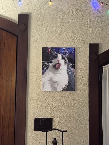 Customer photo review of Custom Paint by Numbers Kit