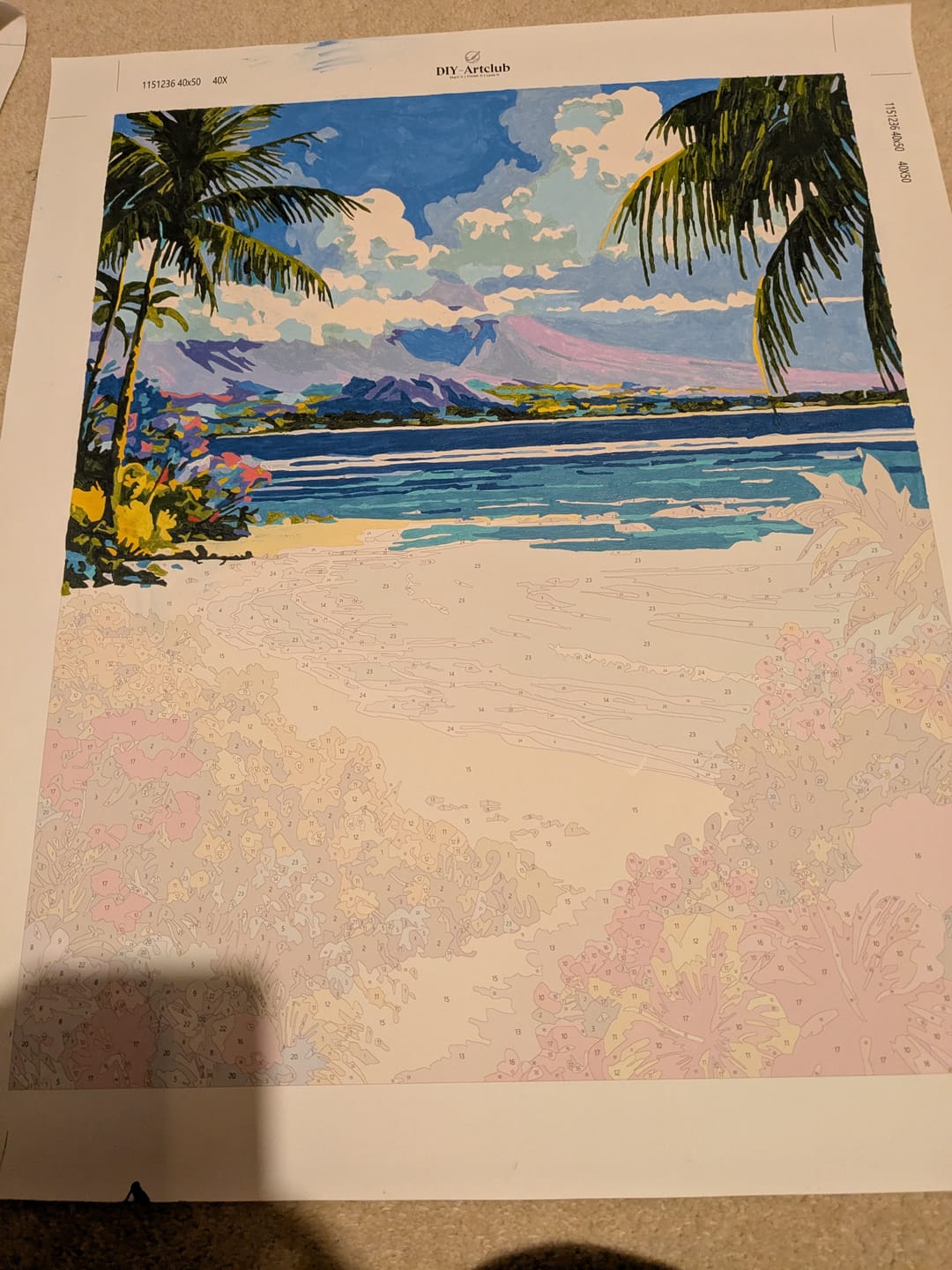 Customer photo review of Hawaiian Landscape | Paint by Number