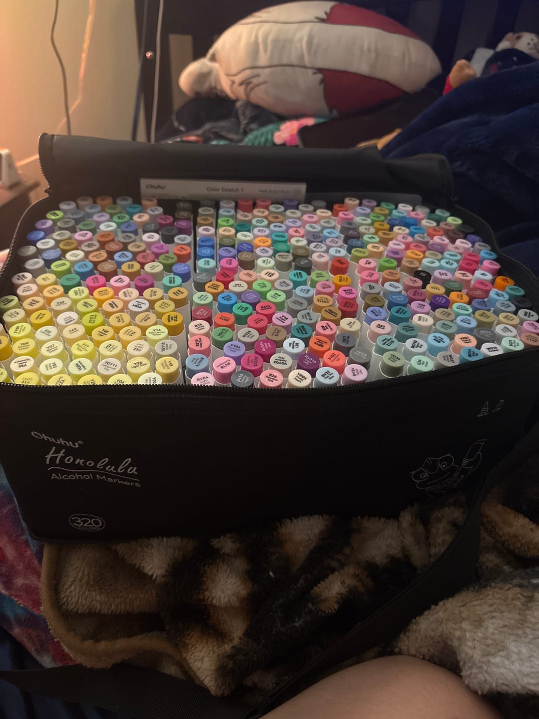 Customer photo review of Ohuhu Honolulu 320 Colors Dual Tips Alcohol Art Markers (New Color Codes)