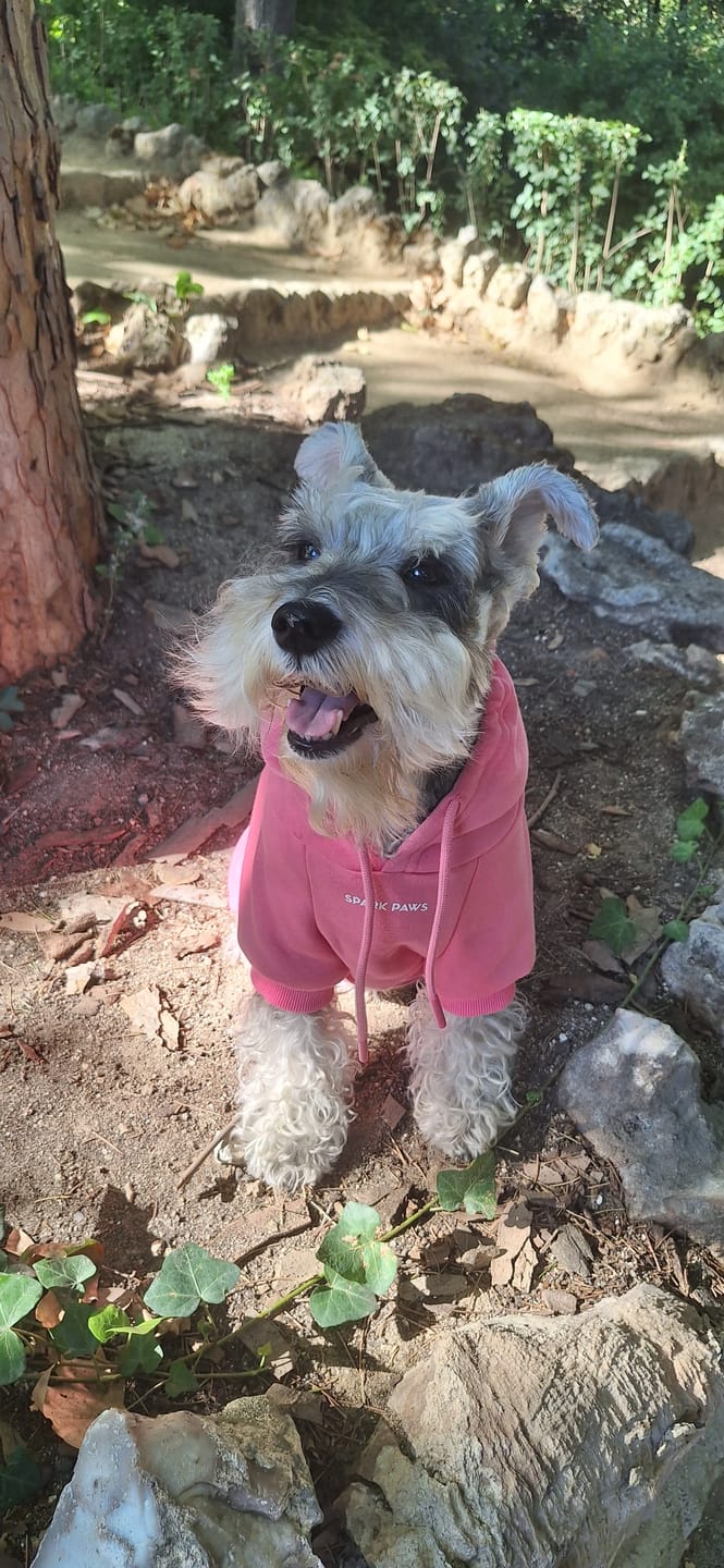 Customer photo review of Essential Dog Hoodie - Blush Pink