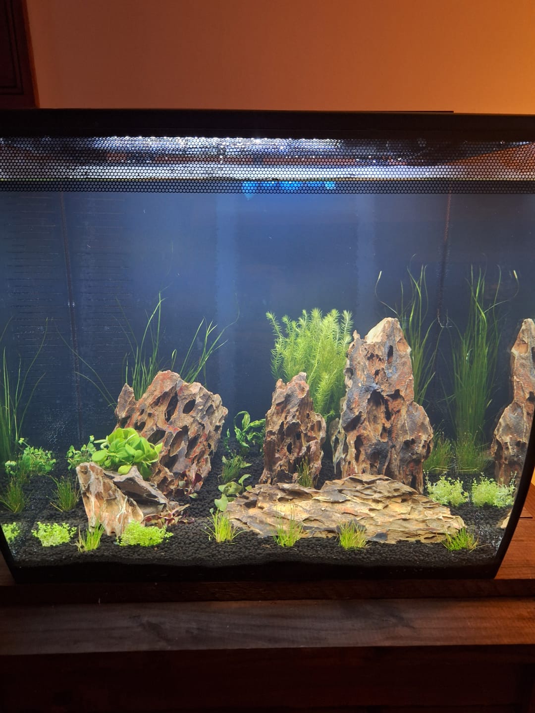 Customer photo review of Fluval Flex 2.0 Aquarium Kit Black - 2 sizes