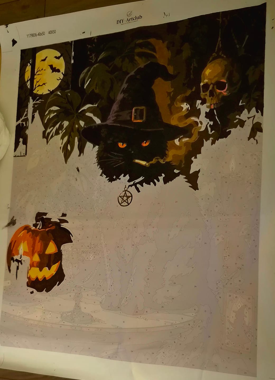 Customer photo review of Halloween Grumpy Cat | Paint by Number