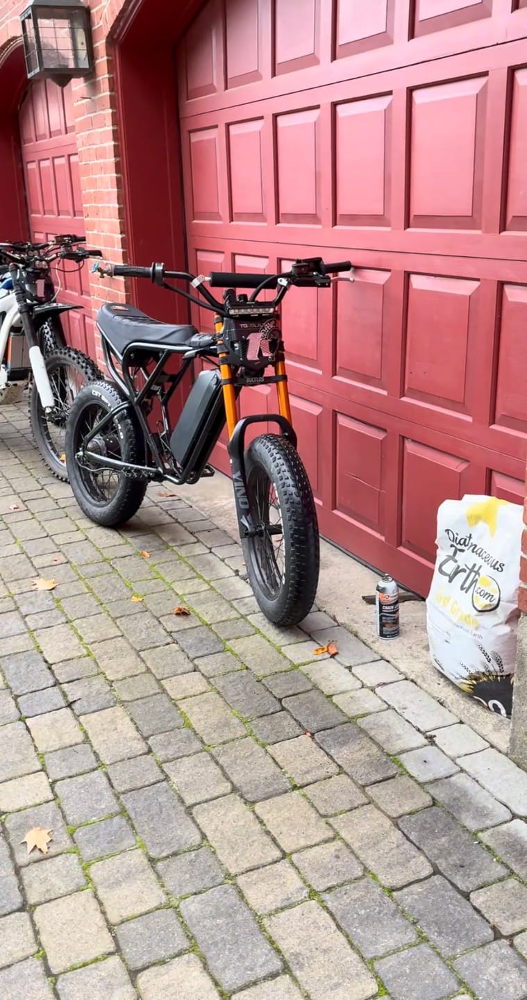 Customer photo review of V2 E-bike Peg Kit