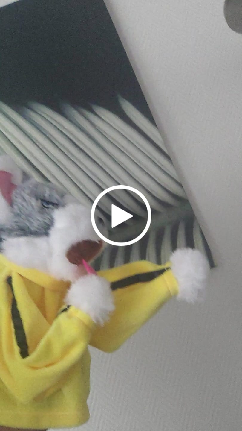 Customer video review of BoxerBuddy