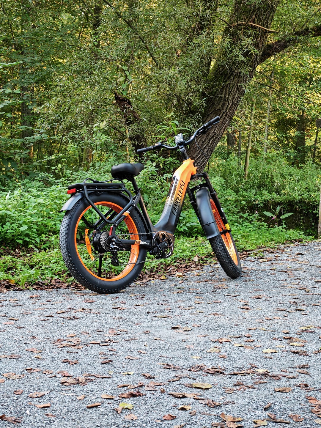 Customer photo review of Lankeleisi MG600 Plus 26" All-Terrain Fat E-Bike (960Wh)