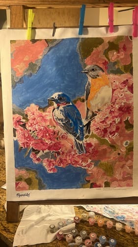 Customer photo review of Couple d'oiseaux bleus