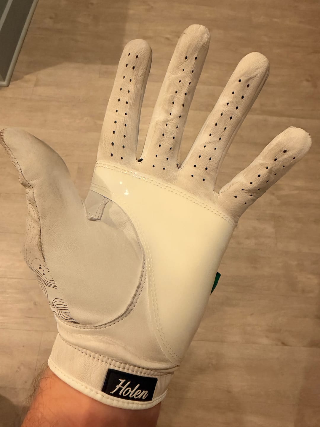 Customer photo review of Links Holen SureGrip Glove
