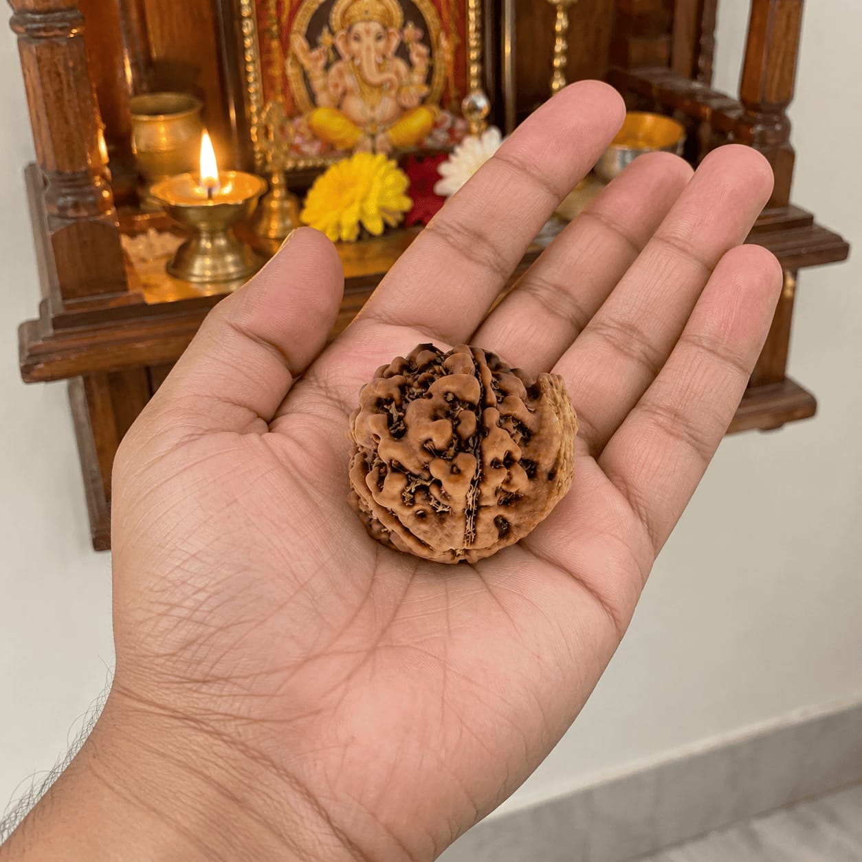 Customer photo review of Ganesh Mukhi Rudraksha (Nepali)