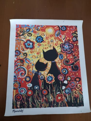 Customer photo review of Chats Cartoon