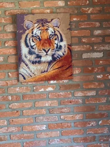 Customer photo review of Broderie Diamant - Regard de Tigre 40x50cm toile tendue sur châssis
