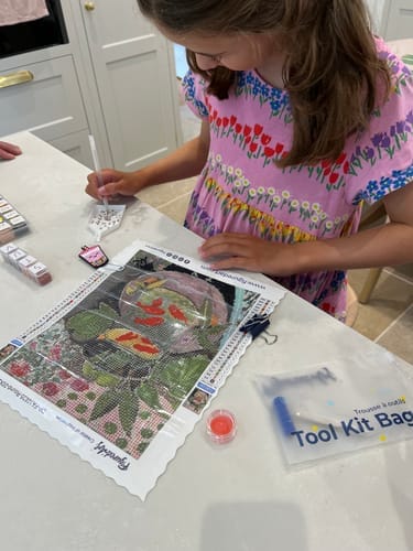 Customer photo review of Diamond Painting - Les Poissons rouges - Matisse
