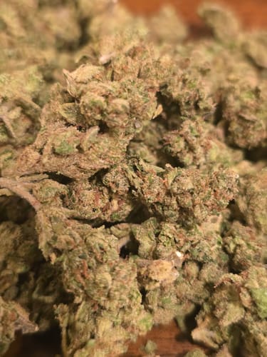 Reviewer's close-up of light green Blue Dream cannabis buds with visible orange hairs.