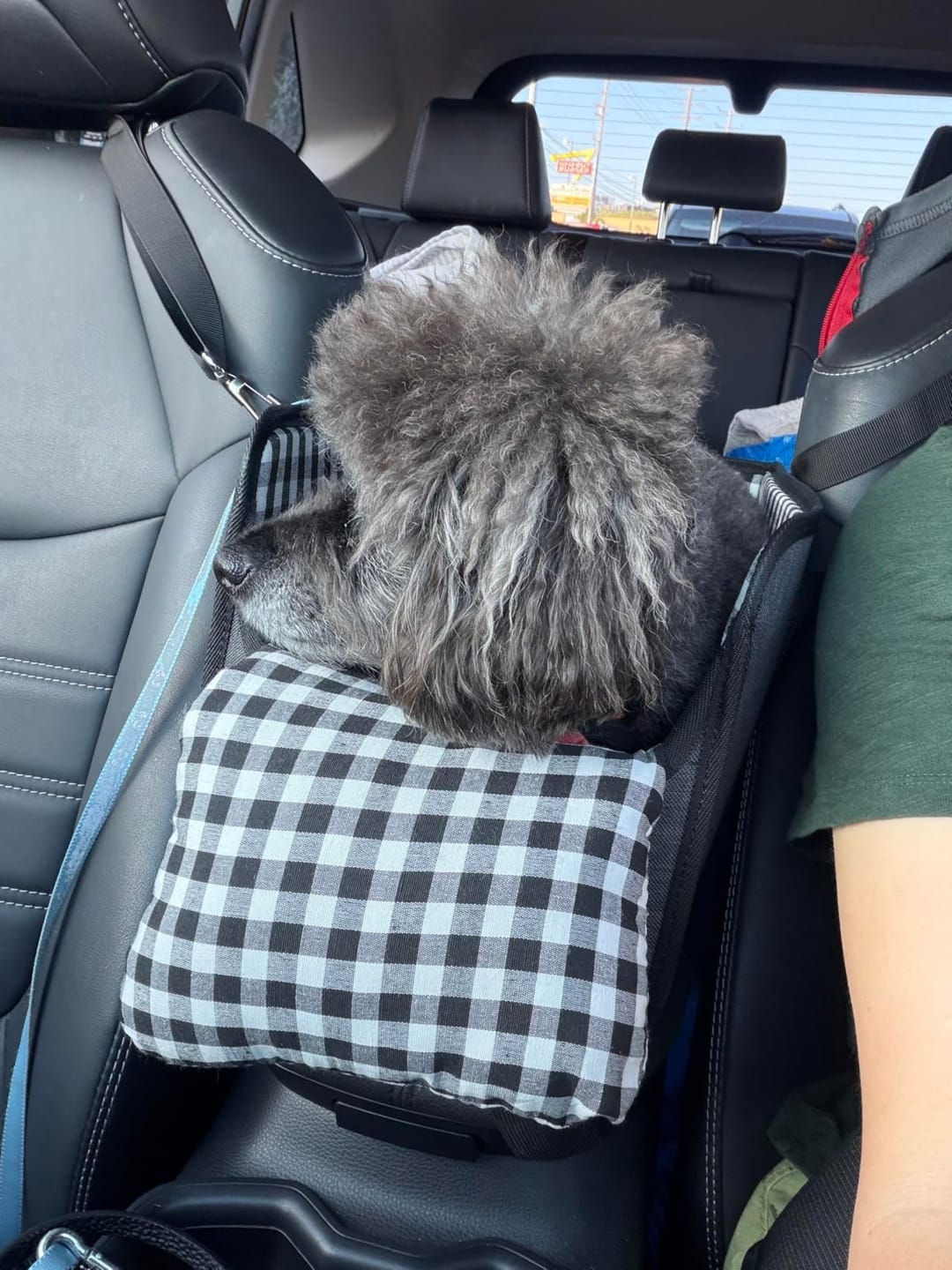 Customer photo review of Console Pet Car Seat