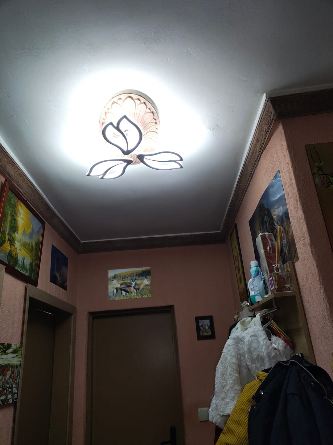 Customer photo review of LED осветително тяло Mini ANEMONE Еквивалент 300W Дистанционно