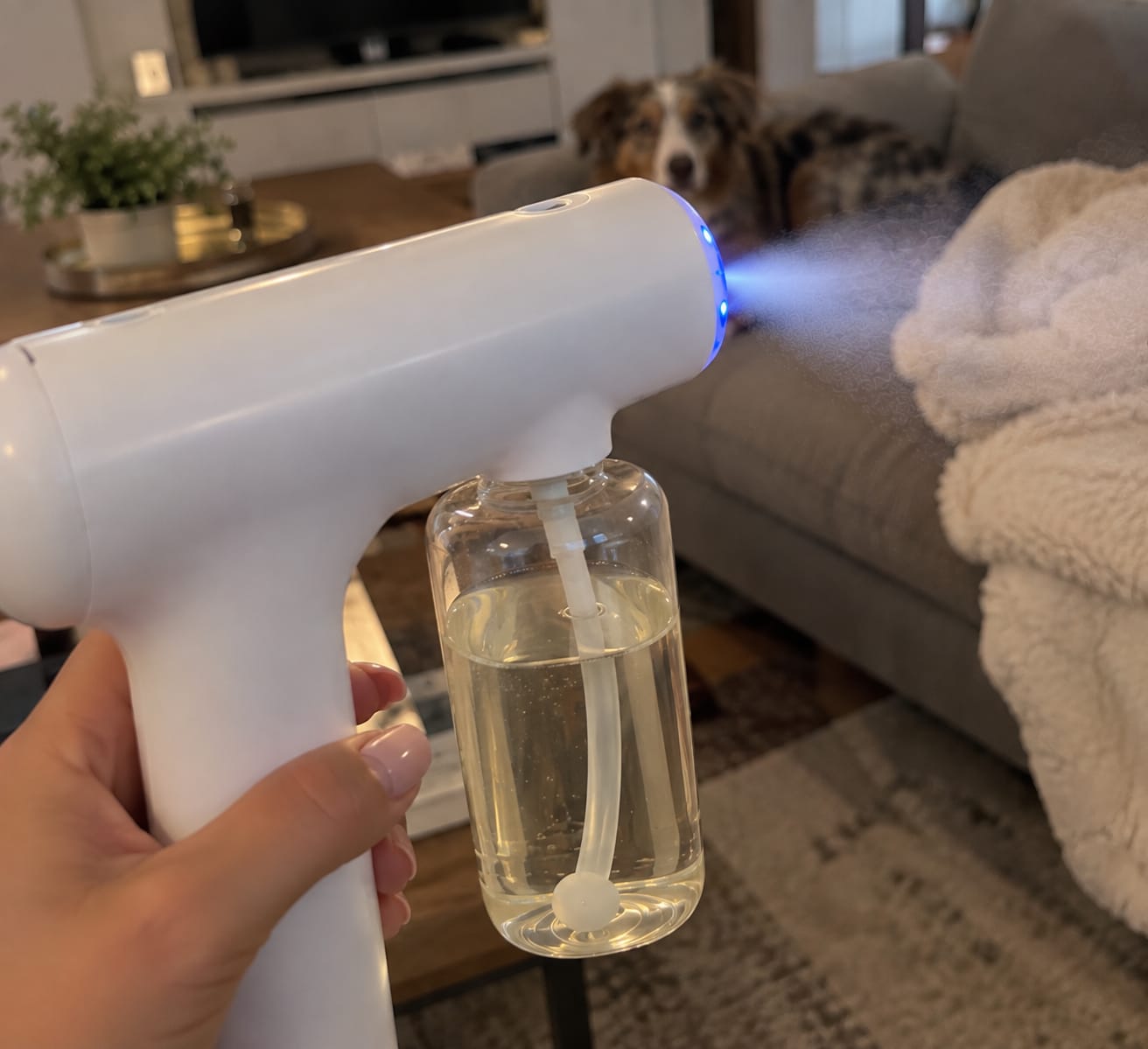 Customer photo review of Nebula Pro™️-Vaporizzatore antiodori per animali