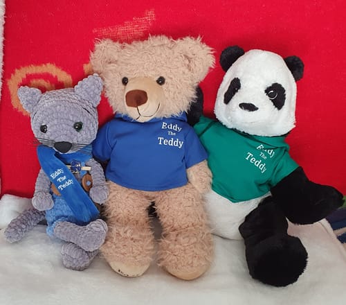 Customer photo review of 32cm Eddy the Teddy Bear Clothing (pack of 5)