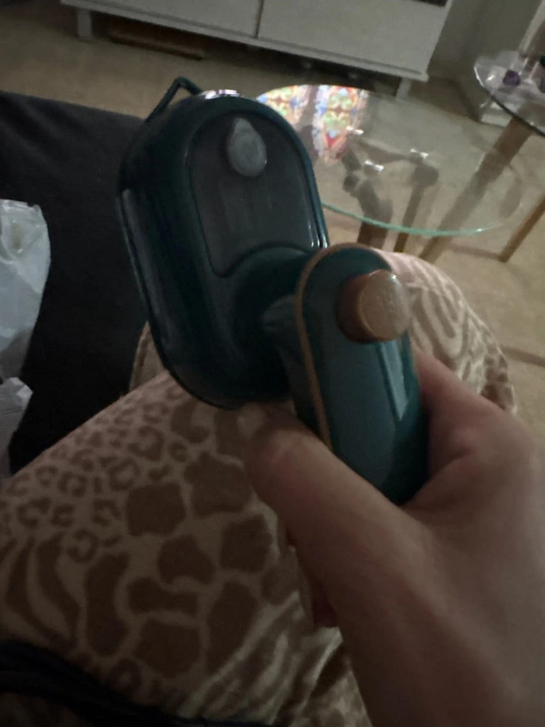 Customer photo review of Le Défroisseur Minute