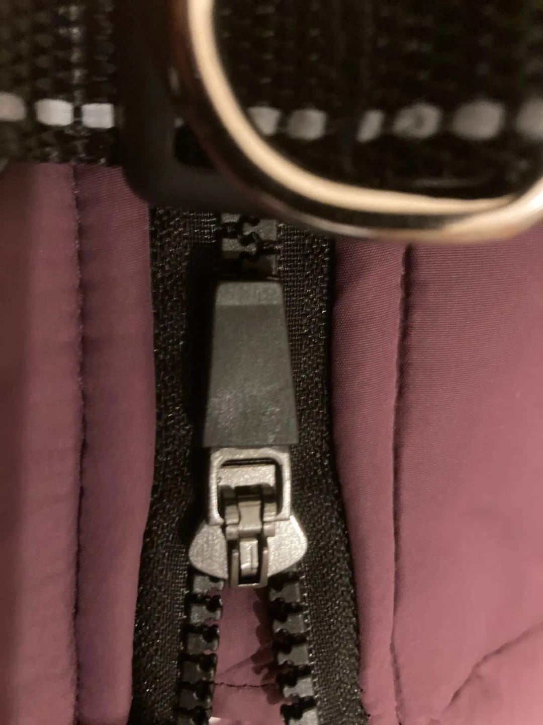 Customer photo review of Manteau imperméable pour Chien