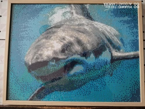 Customer photo review of Broderie Diamant - Requin