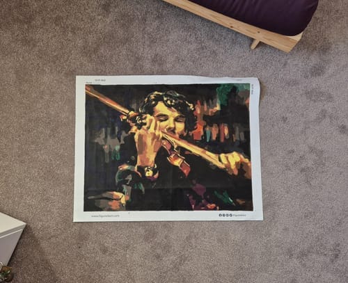 Customer photo review of Violoniste en Concert