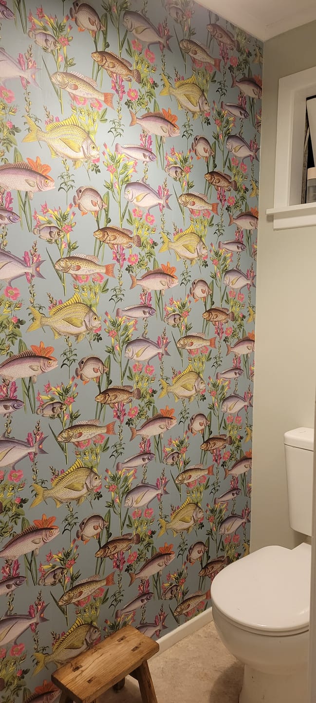Customer photo review of Lagoon Fish Wallpaper – Teal