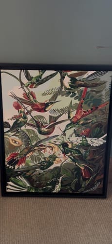 Customer photo review of Tous les oiseaux