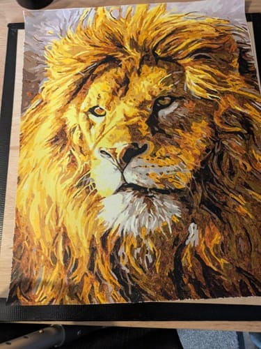 Customer photo review of Le Lion