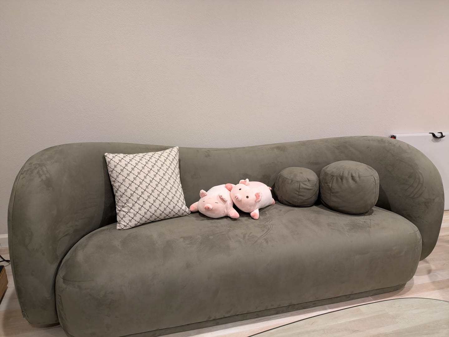 Customer photo review of Diane Form Sleeper Sofa