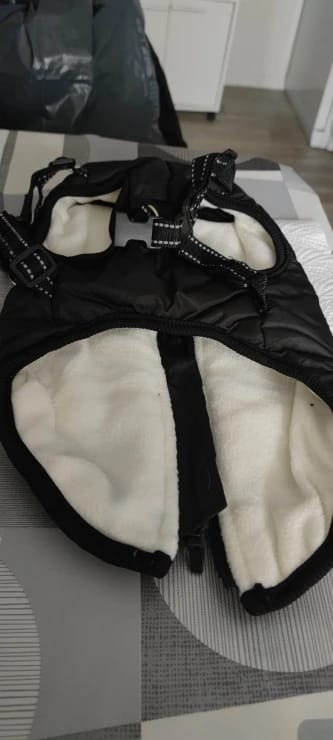 Customer photo review of Manteau imperméable pour Chien