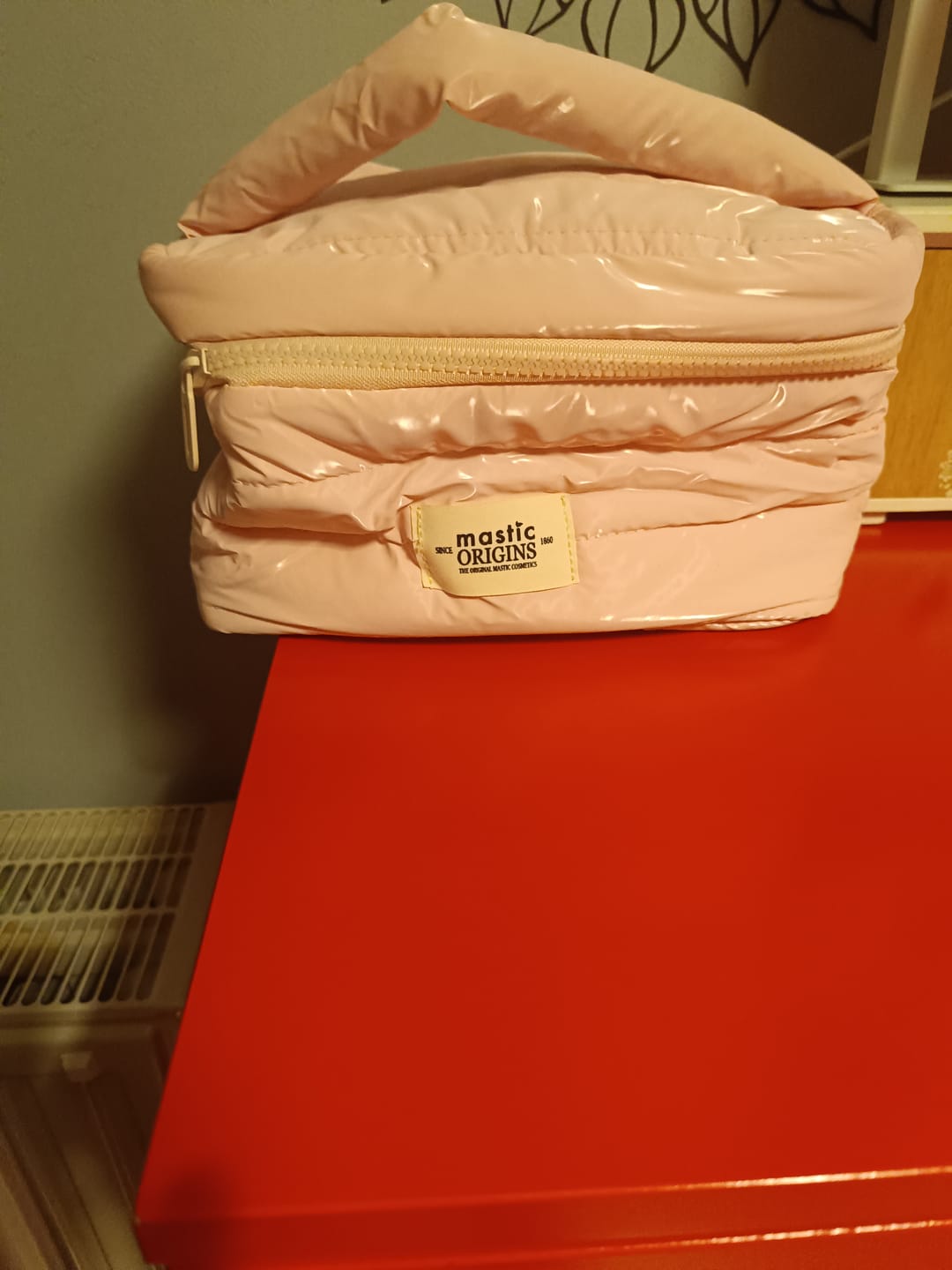 Customer photo review of Mastic Bag