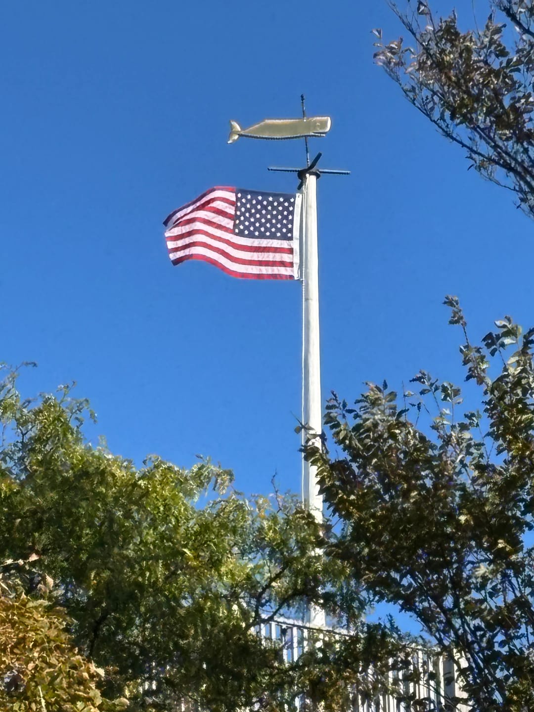 Customer photo review of 4' x 6' American Flag