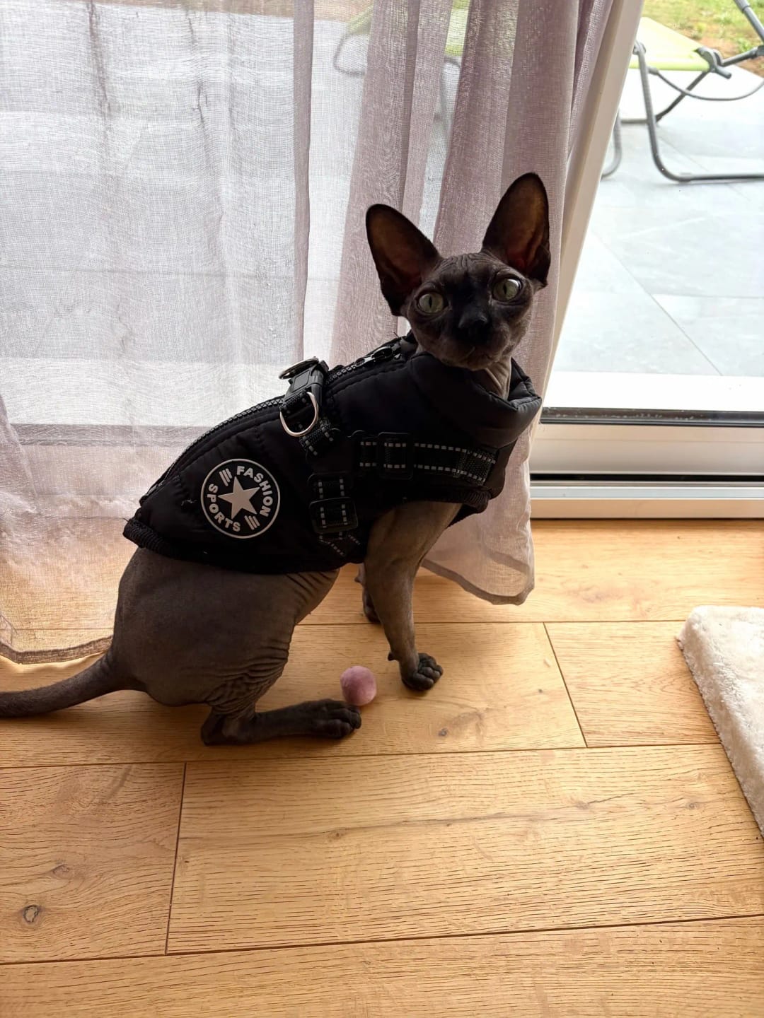 Customer photo review of Manteau imperméable pour Chien